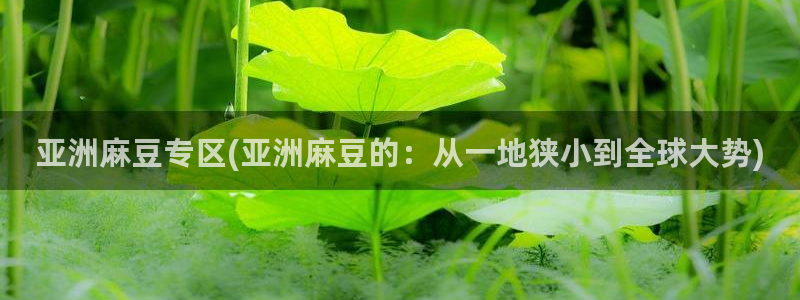 91麻豆专区：亚洲麻豆专区(亚洲麻豆的：从一地狭小到全球大势)