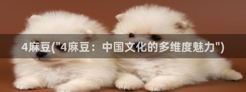 一级专区麻豆专区三级：4麻豆(\