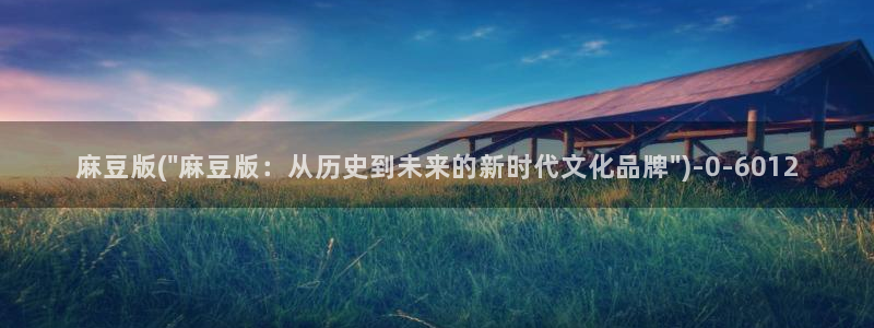 麻豆 专区：麻豆版(\