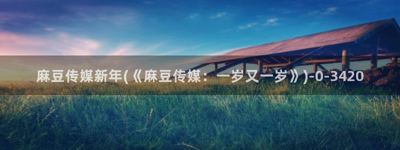 91麻豆国产专区