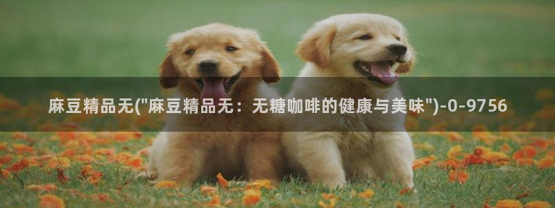 亚洲麻豆专区：麻豆精品无(\