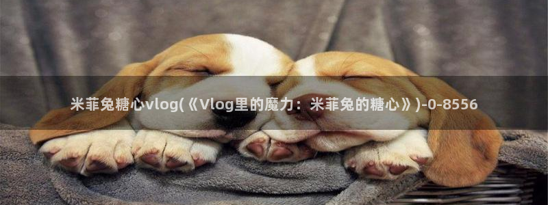 糖心vlog tv