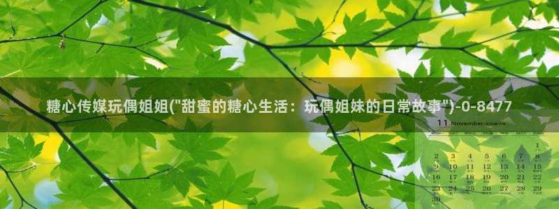 糖心vlog网页免费
