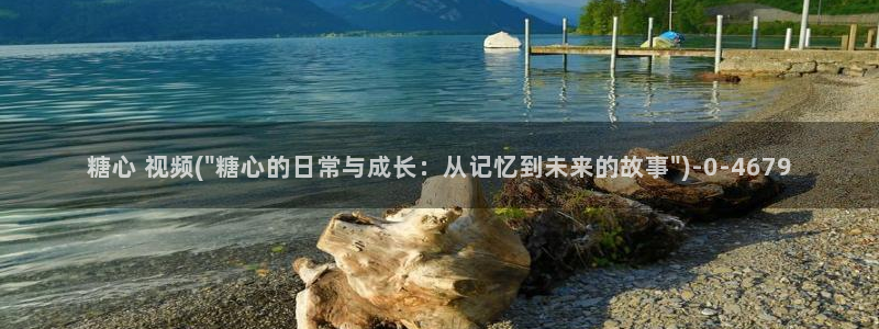 糖心vlog入口网页