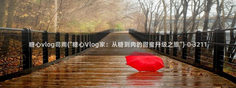糖心vlog在线官网