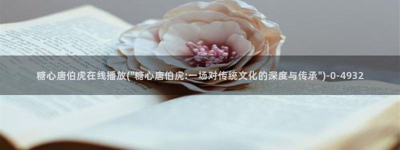 心糖vlog免费版
