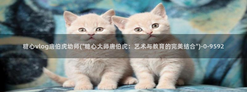 糖心vlog后入