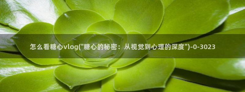 糖心vlog主页