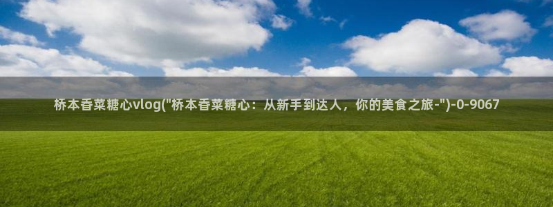 糖心vlog破解版下载免费