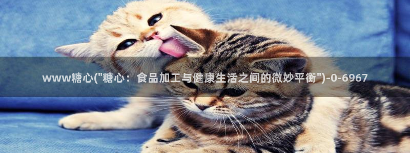 糖心vlog在线观看视频