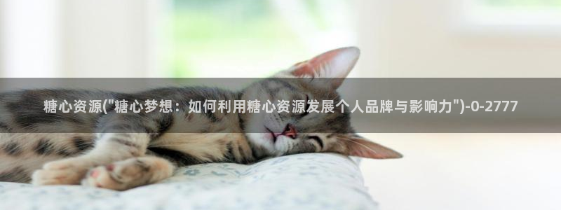 糖心vlog工作室